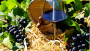 Rotwein